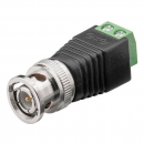 AVC-BNC-MT