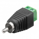 AVC-RCA-MT