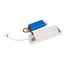 Rapan PL-4W3H (2469)
